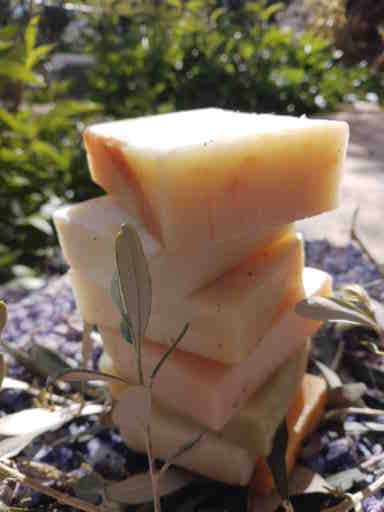 1000006558 1000006558