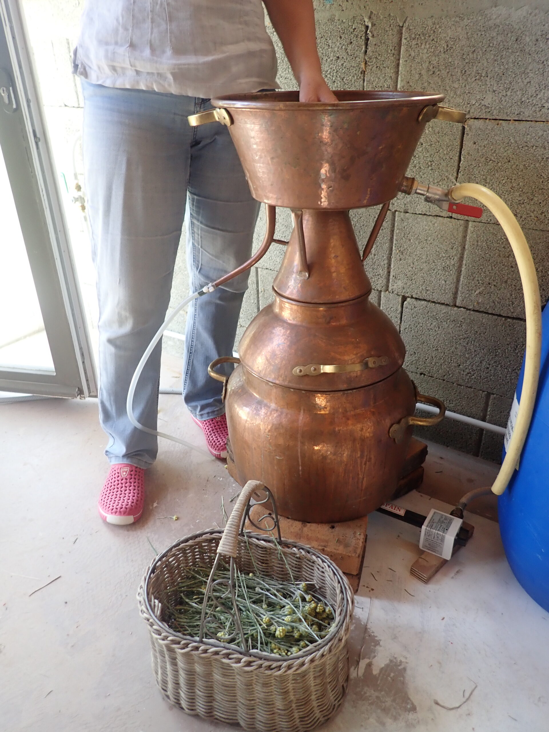 OLYMPUS DIGITAL CAMERA OLYMPUS DIGITAL CAMERA