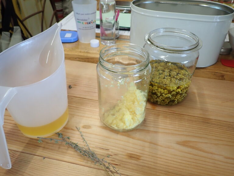 Lire la suite à propos de l’article Maceration des plantes